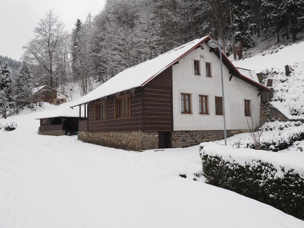 Chalupa Tomasek V Blizkosti Ski Arealu Dolni Dvur Kültér fotó